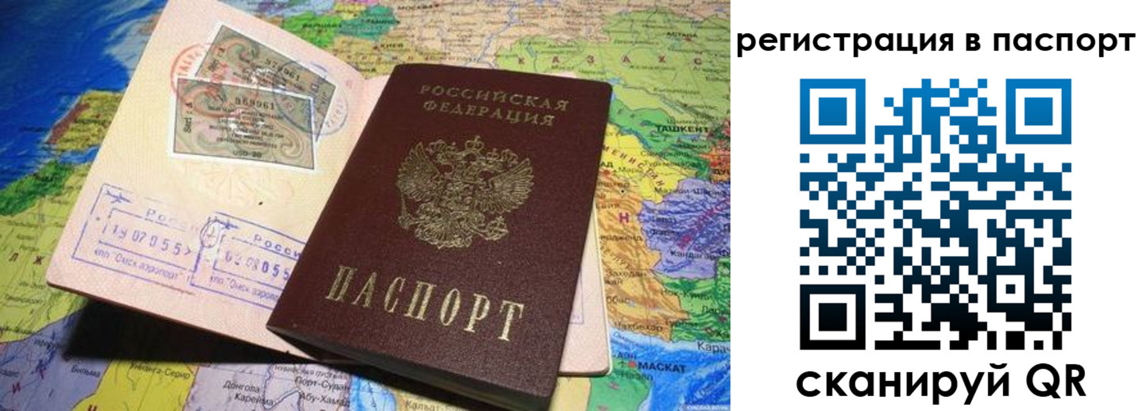 прописка гарантия в Химках